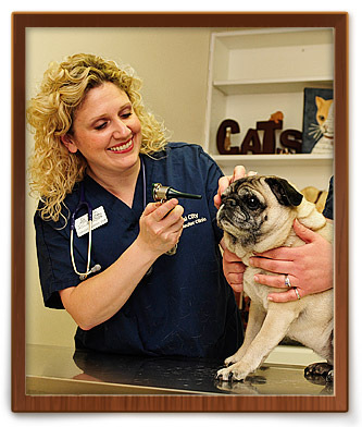 columbus veterinary services